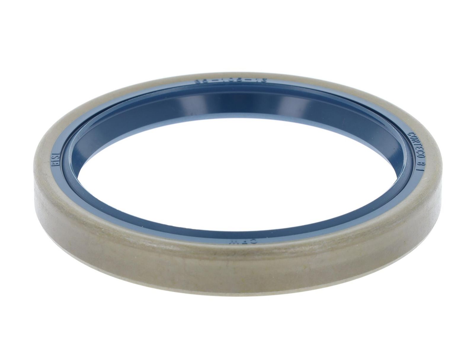 Wellen Dichtring Differential