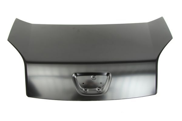 Motorhaube Haube