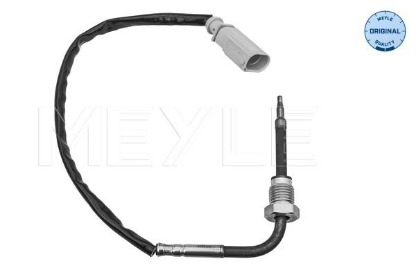 Sensor Abgastemperatur