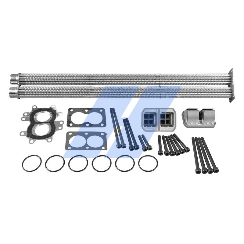 Reparatursatz, AGR-Modul