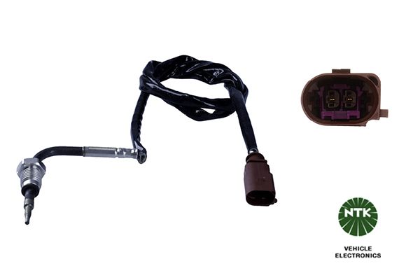 Sensor Abgastemperatur