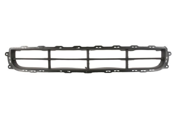 Stoßstange Gitter