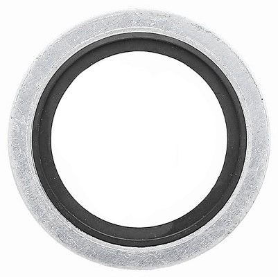 Dichtung Dichtring