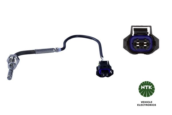 Sensor Abgastemperatur