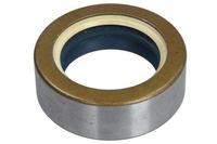 Wellen Dichtring Differential