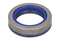Dichtung Differential