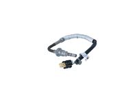 Sensor Abgastemperatur, Bild 37