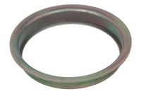 Dichtung Differential