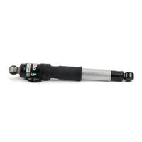 Luftfederbein, Bild 4