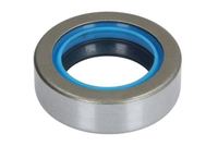 Wellen Dichtring Differential