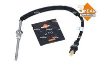 Sensor Abgastemperatur, Bild 1