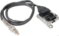 NOx Sensor Katalysator Kat