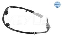 Sensor Abgastemperatur, Bild 1