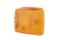 Lichtscheibe Blinker Blinkleuchte
