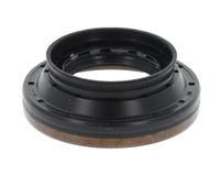 Wellen Dichtring Differential