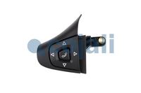 Fensterheber Schalter Knopf