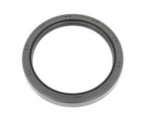 Wellen Dichtring Differential