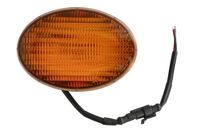 Blinker Blinkleuchte