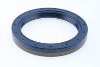 Wellen Dichtring Differential