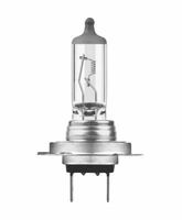 Glühbirnen, Xenon, LED