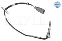 Sensor Abgastemperatur, Bild 1