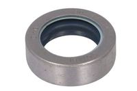 Dichtung Differential