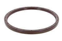 Wellen Dichtring Differential
