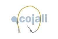 Sensor Abgastemperatur, Bild 1