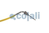 Sensor Abgastemperatur, Bild 2
