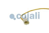 Sensor Abgastemperatur, Bild 3