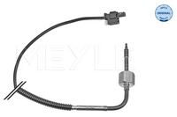 Sensor Abgastemperatur, Bild 1