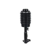 Luftfederbein, Bild 18