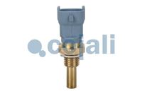 Kühlmitteltemperatursensor