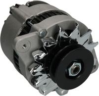 Lichtmaschine Generator, Bild 1