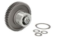 Ölpumpe Motorölpumpe, Bild 1