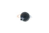Spreizniet, Bild 38