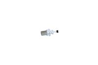 Abgasdrucksensor Differenzdruck, Bild 14