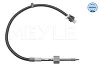 Sensor Abgastemperatur, Bild 1