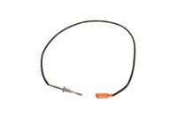 Sensor Abgastemperatur, Bild 1