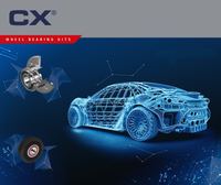Radlagersatz, Bild 2