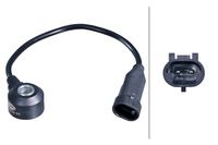 Klopfsensor