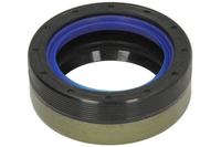 Dichtung Differential