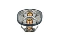 Thermostat Kühlwasser Kühlmittel, Bild 36