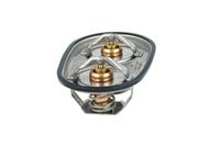 Thermostat Kühlwasser Kühlmittel, Bild 37