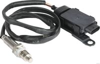 NOx Sensor Katalysator Kat