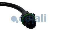 Sensor Abgastemperatur, Bild 2