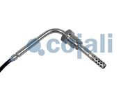 Sensor Abgastemperatur, Bild 3