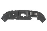 Frontmaske Frontgerüst Schloßträger, Bild 2