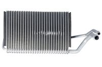 Verdampfer Klimaanlage