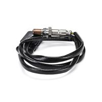 NOx Sensor Katalysator Kat, Bild 10